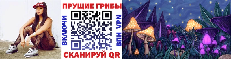 Галлюциногенные грибы Psilocybine cubensis  Богородск 