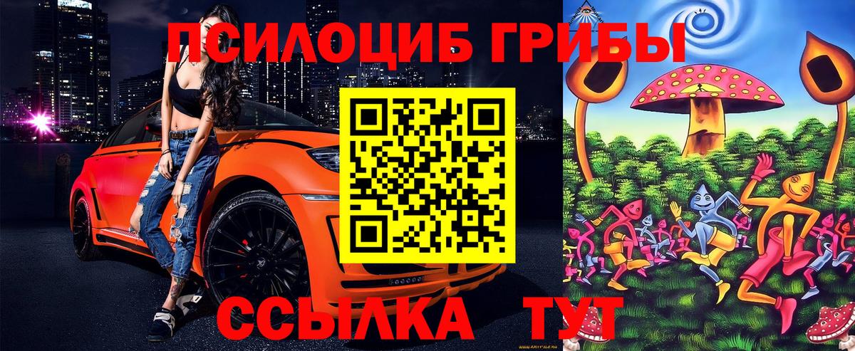 Псилоцибиновые грибы Magic Shrooms  Вход с VPN  продажа наркотиков  Богородск 