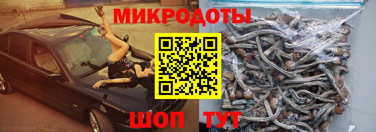 Галлюциногенные грибы MAGIC MUSHROOMS Богородск
